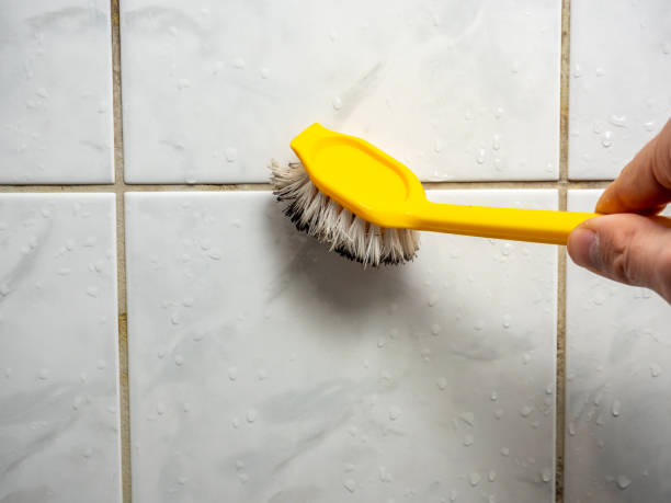 Best Mold Remediation for Schools in Lake Tapps, WA
