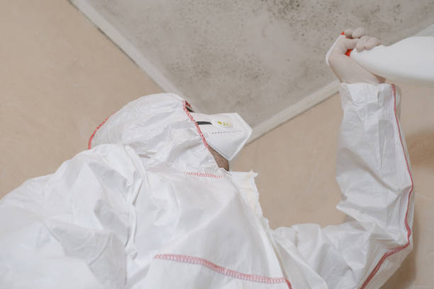 Professional Mold Remediation in Lake Tapps, WA
