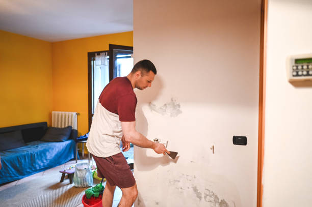 Best Post-Flood Mold Remediation in Lake Tapps, WA