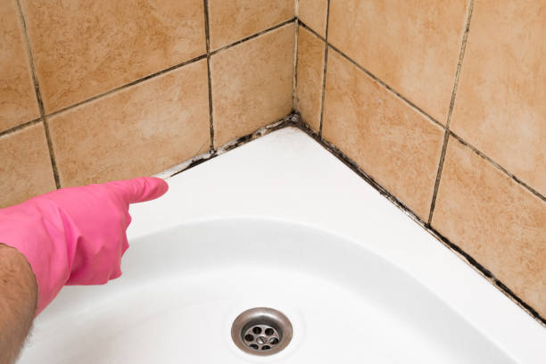 Best Industrial Mold Remediation in Lake Tapps, WA